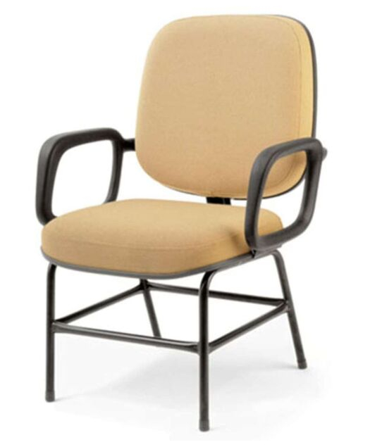 imagem do produto Cadeira Diretor Base Fixa com Bra�os - Design Office